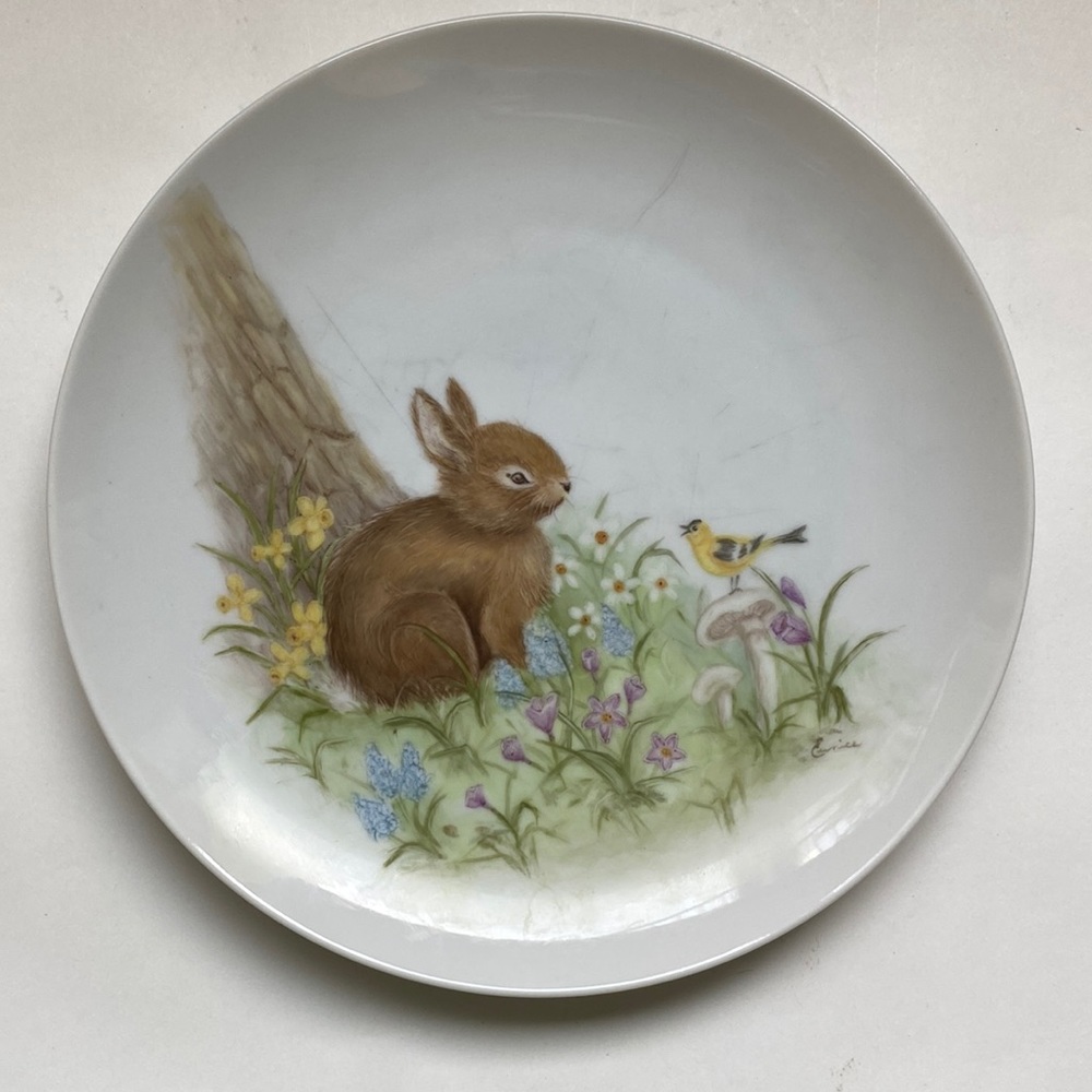 Cute little bunny plate